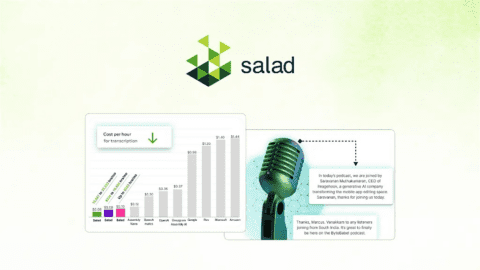 Salad Transcription API